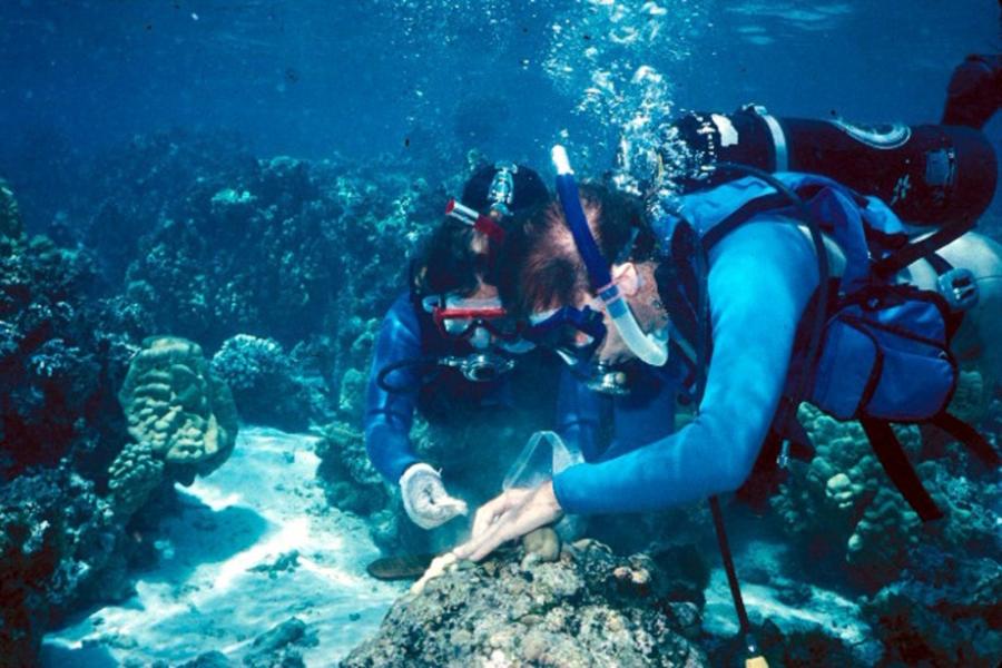 Sally Holbrook in the lagoon