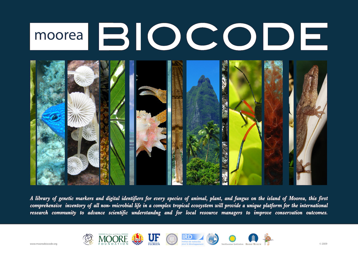 Moorea biocode