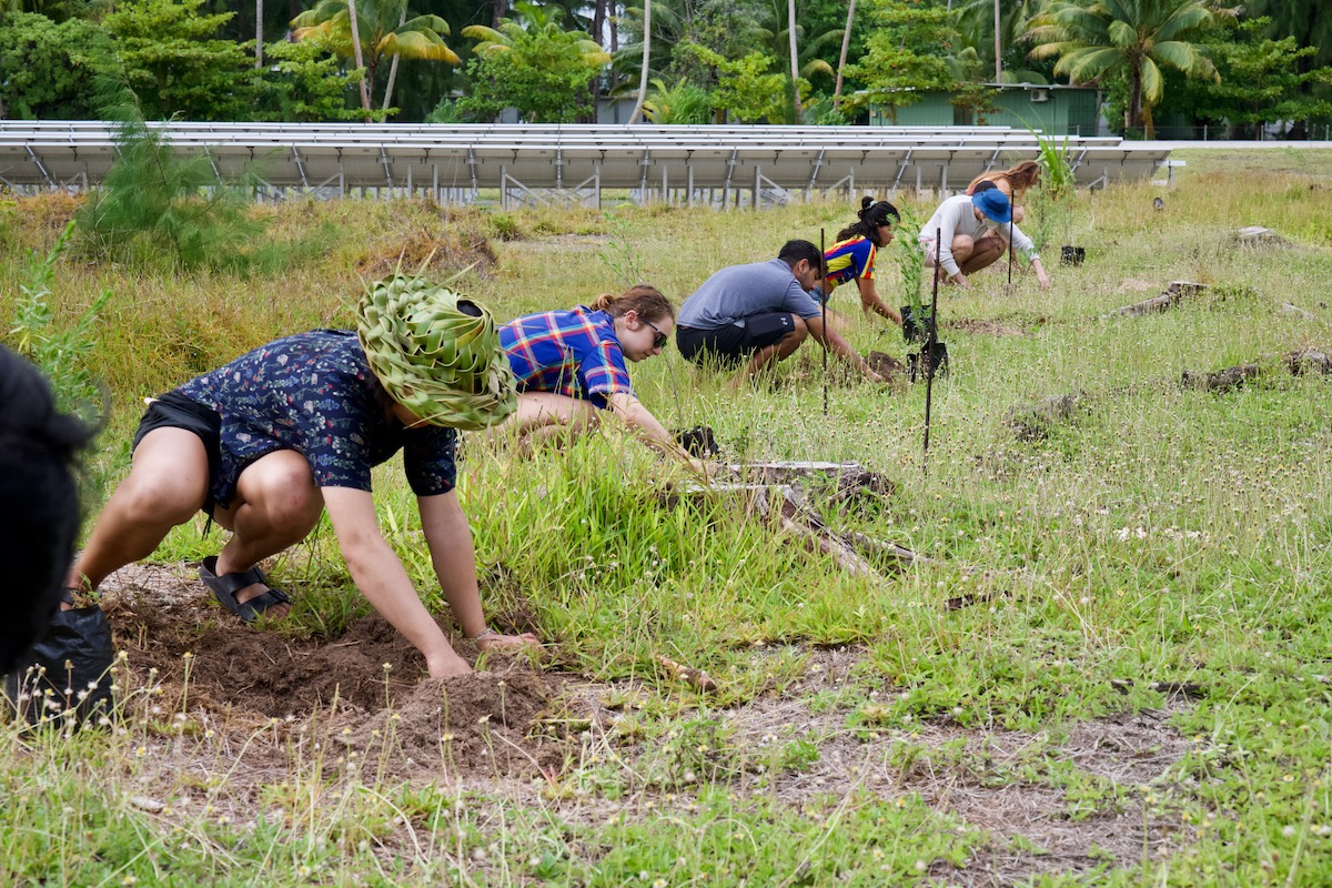 digging in