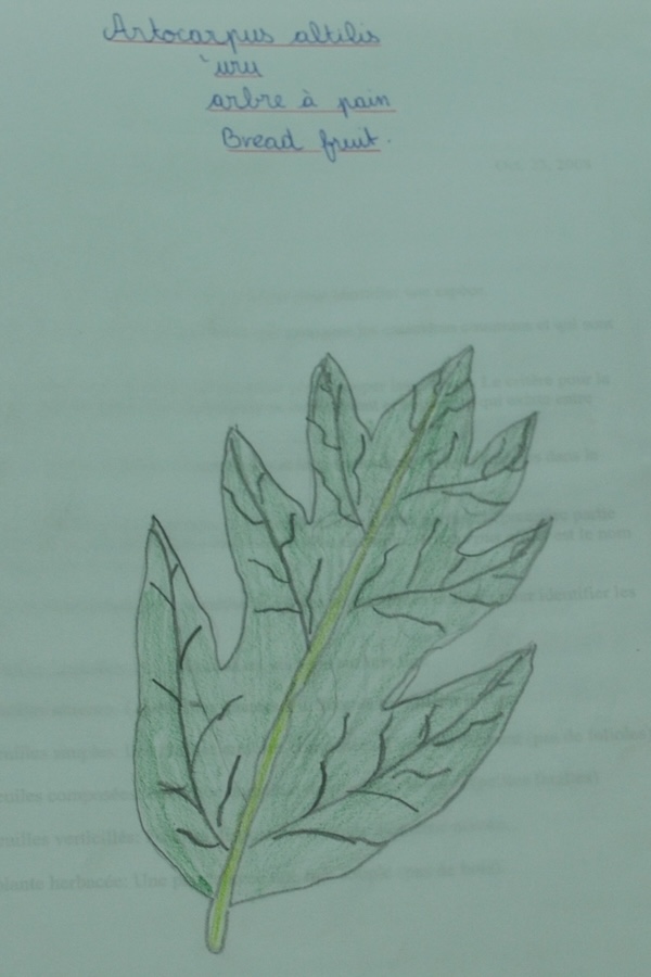 student notebook