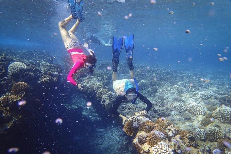 students from Montana study the ocean