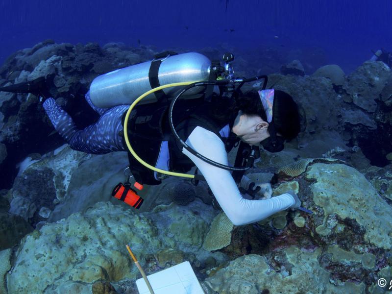 Researcher from Rice University