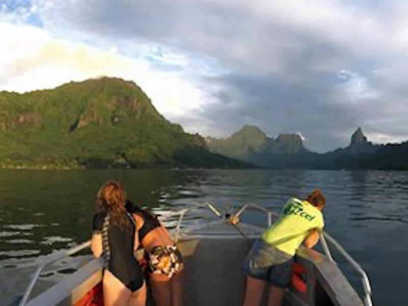 Moorea island panorama