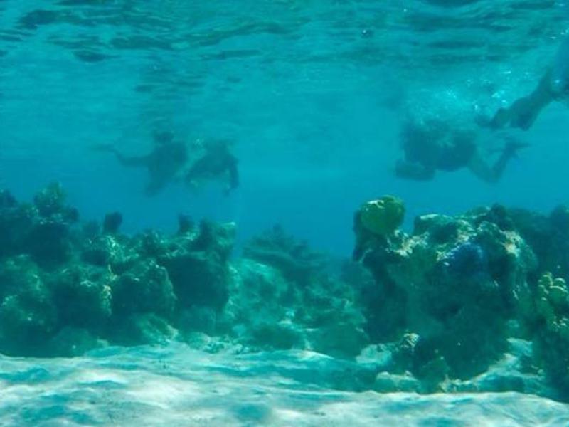 snorkeling in Moorea's lagoon