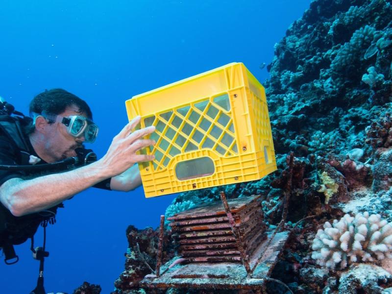 Chris Meyer retrieving ARMS