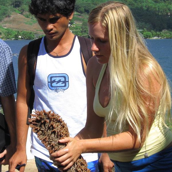 big sea cucumber