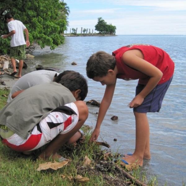 collecting critters on the beach