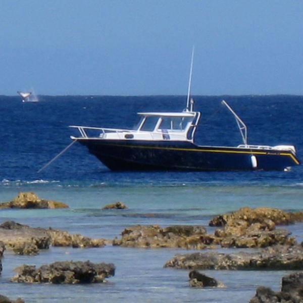 Gump station boat