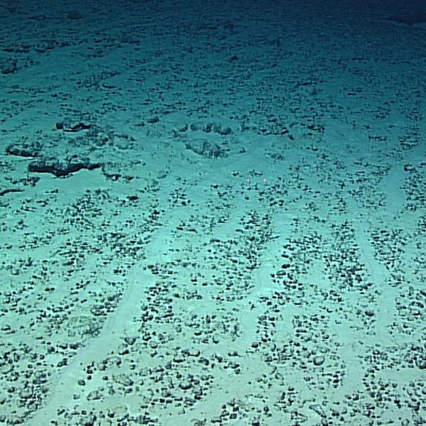 Undersea sediment