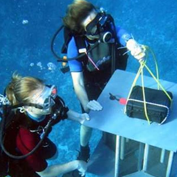 Moorea LTER researchers
